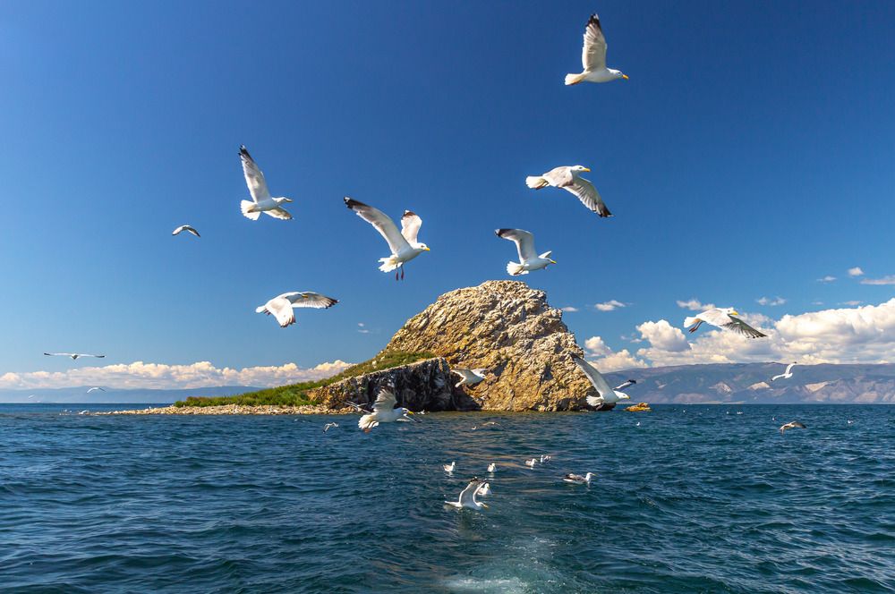 Photograph by Головкин Алексей