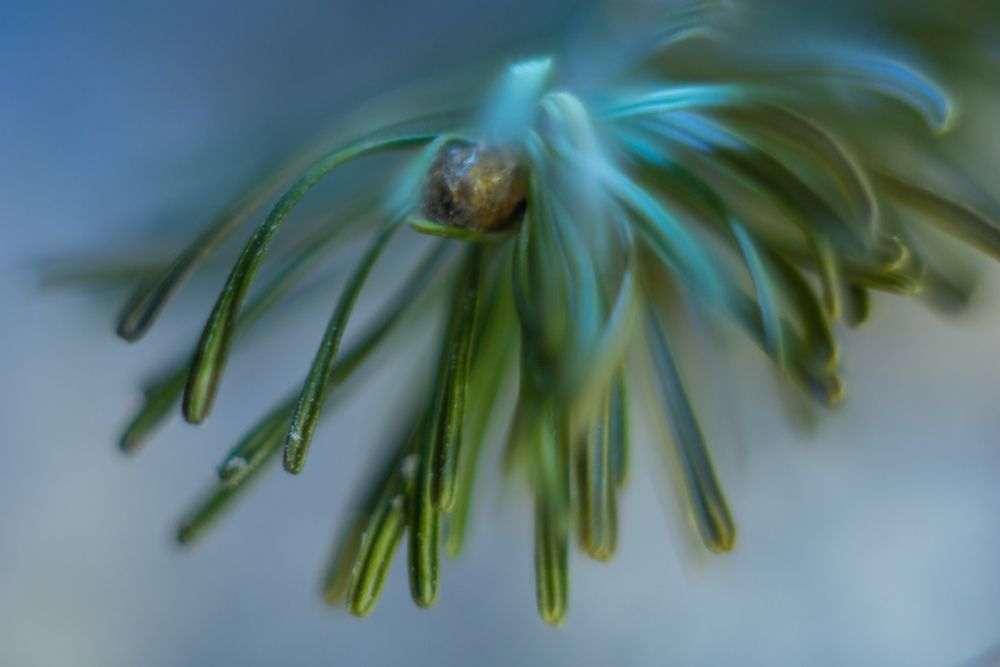 Photograph by Ольга Лукьянова