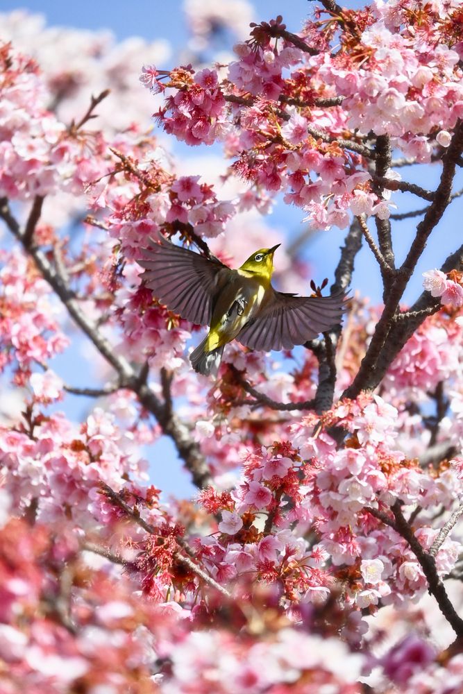 Photograph by 杉山 皓太郎