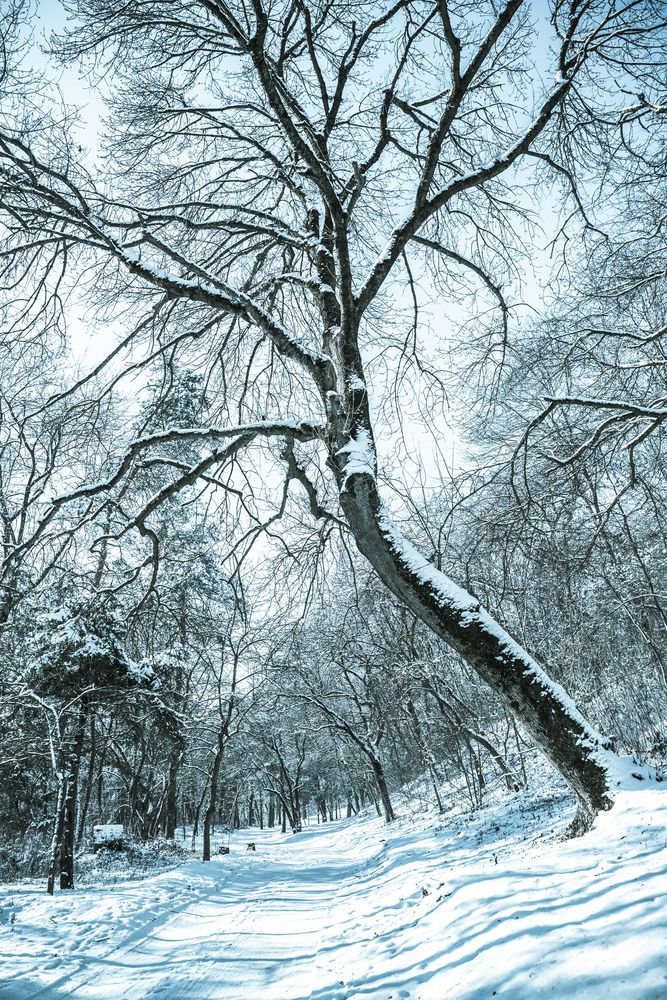 Фотография автора Dmitry BESPAMIATNYI