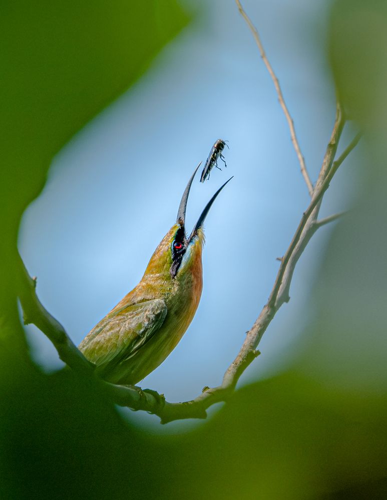 Precision in every move.