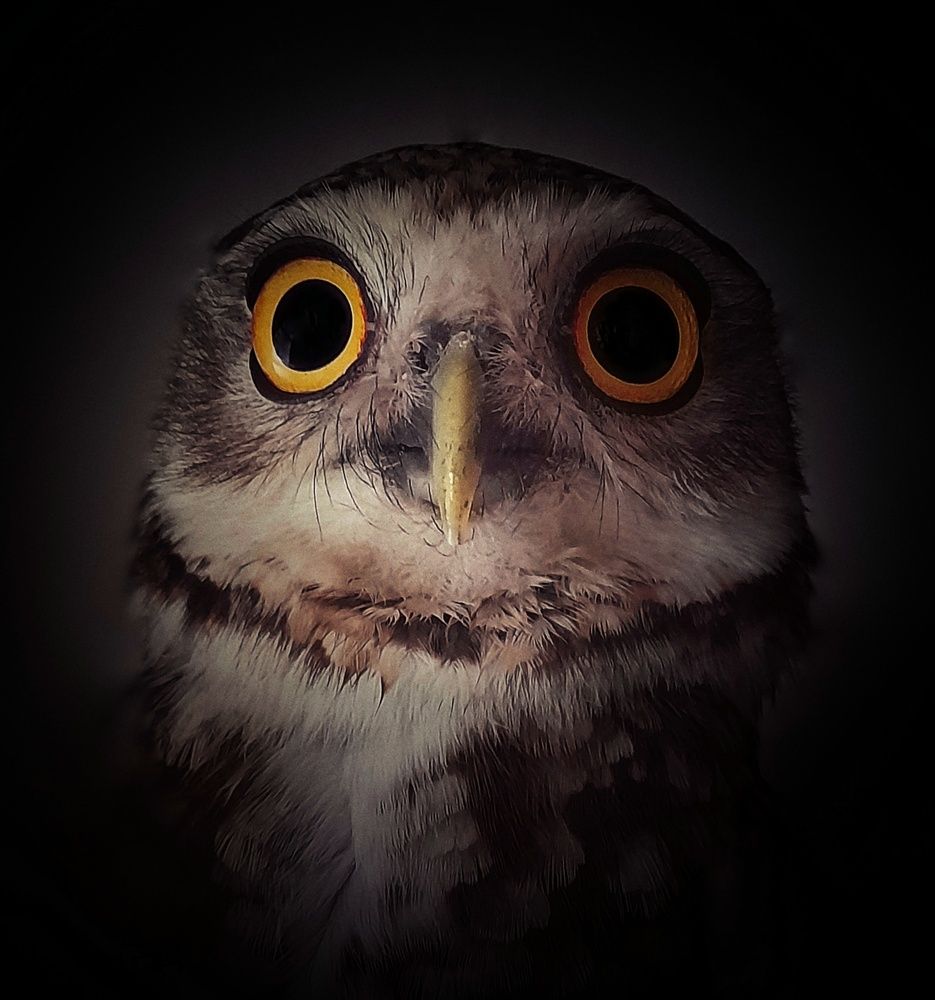 Photograph by Roberto Hagemann