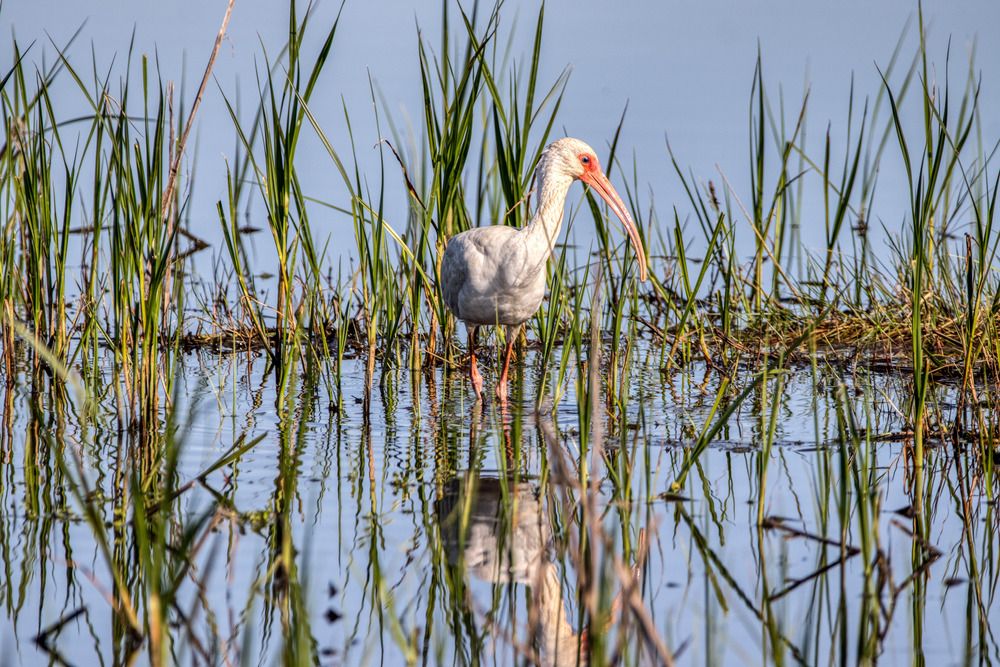 Photograph by Анатолий Костерев