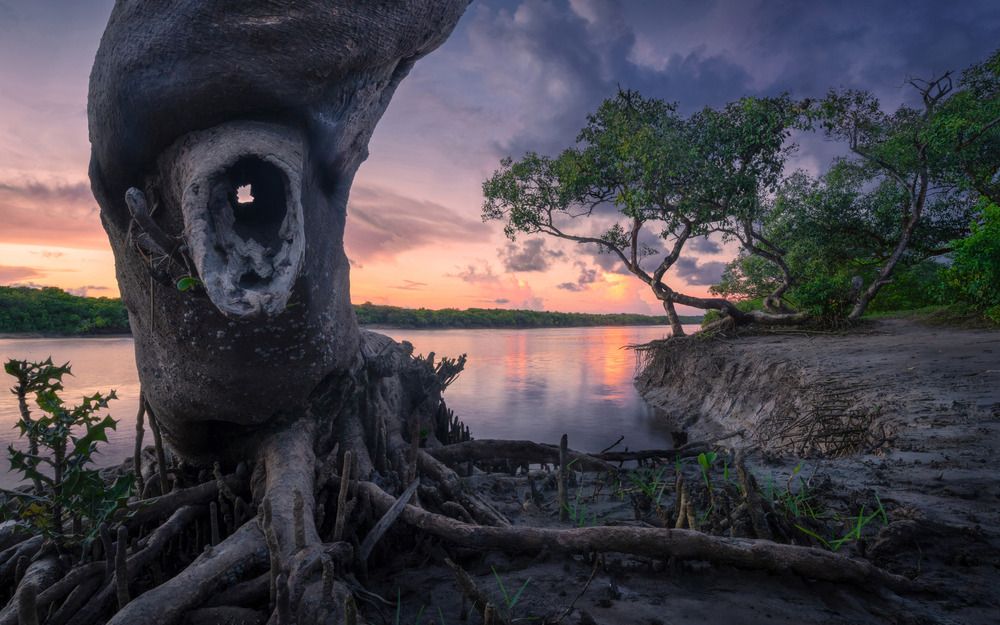 Photograph by Ranit Dholey