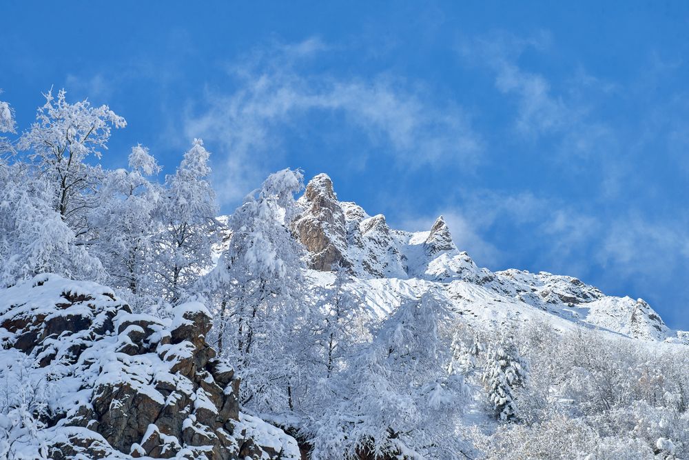 Photograph by Максим Карпович