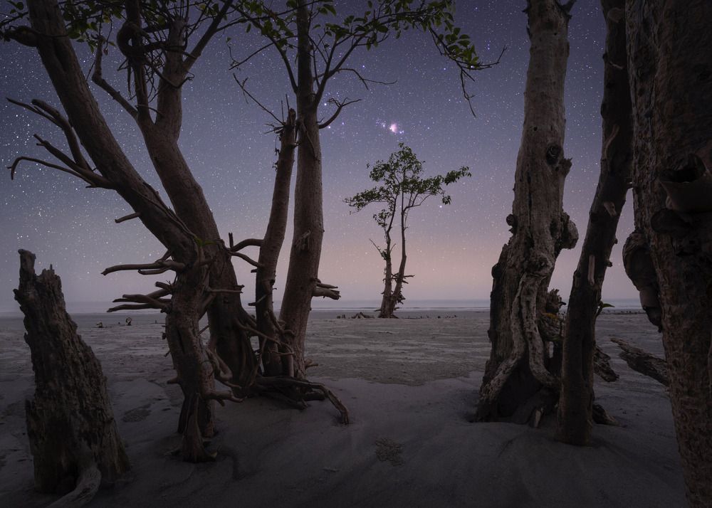 Photograph by Ranit Dholey