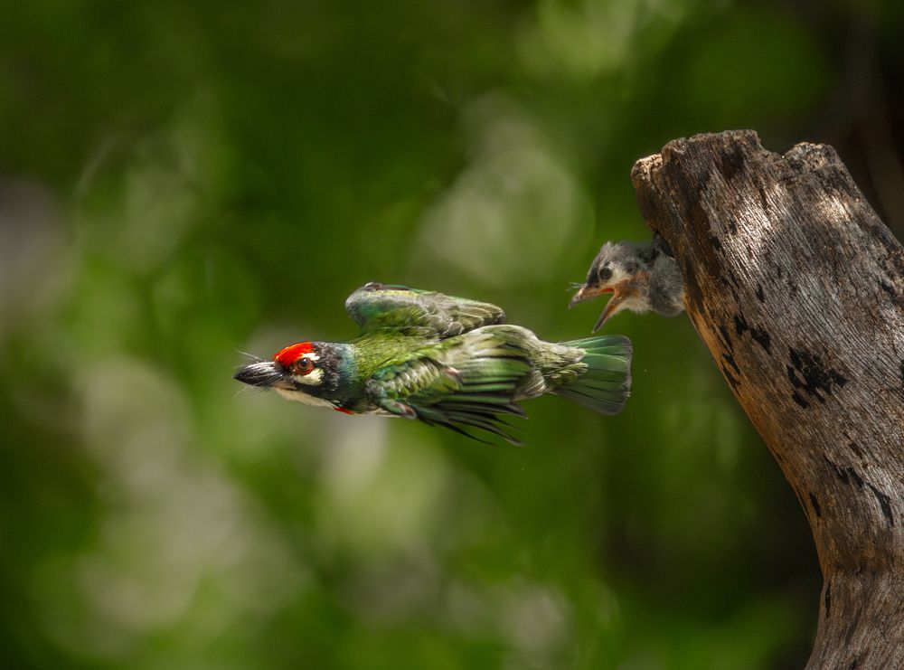 Photograph by Lê Huy Anh