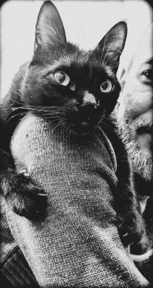 Фотография автора Elena Safarova