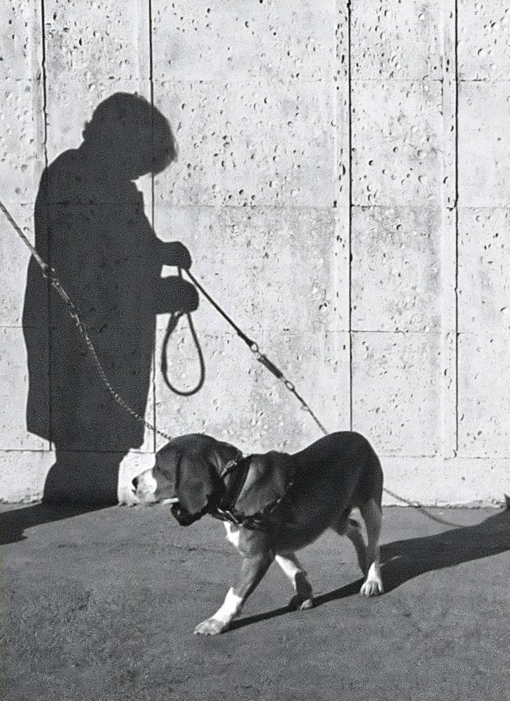 Фотография автора Elena Safarova