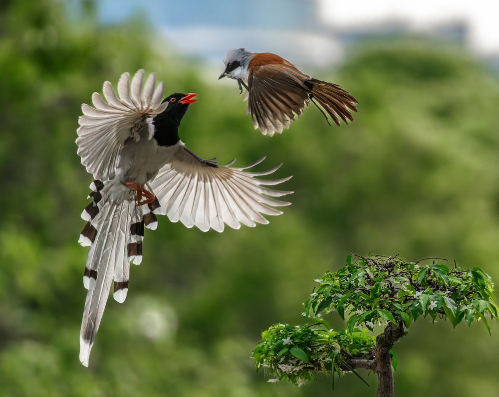 Photograph by Lê Huy Anh