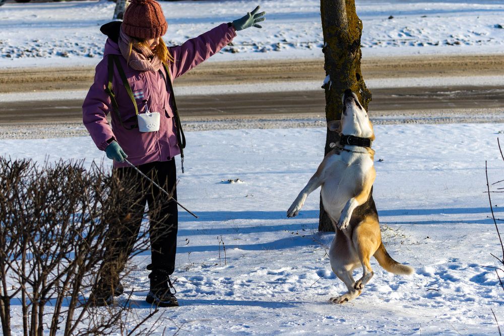 Photograph by Денис Лобов