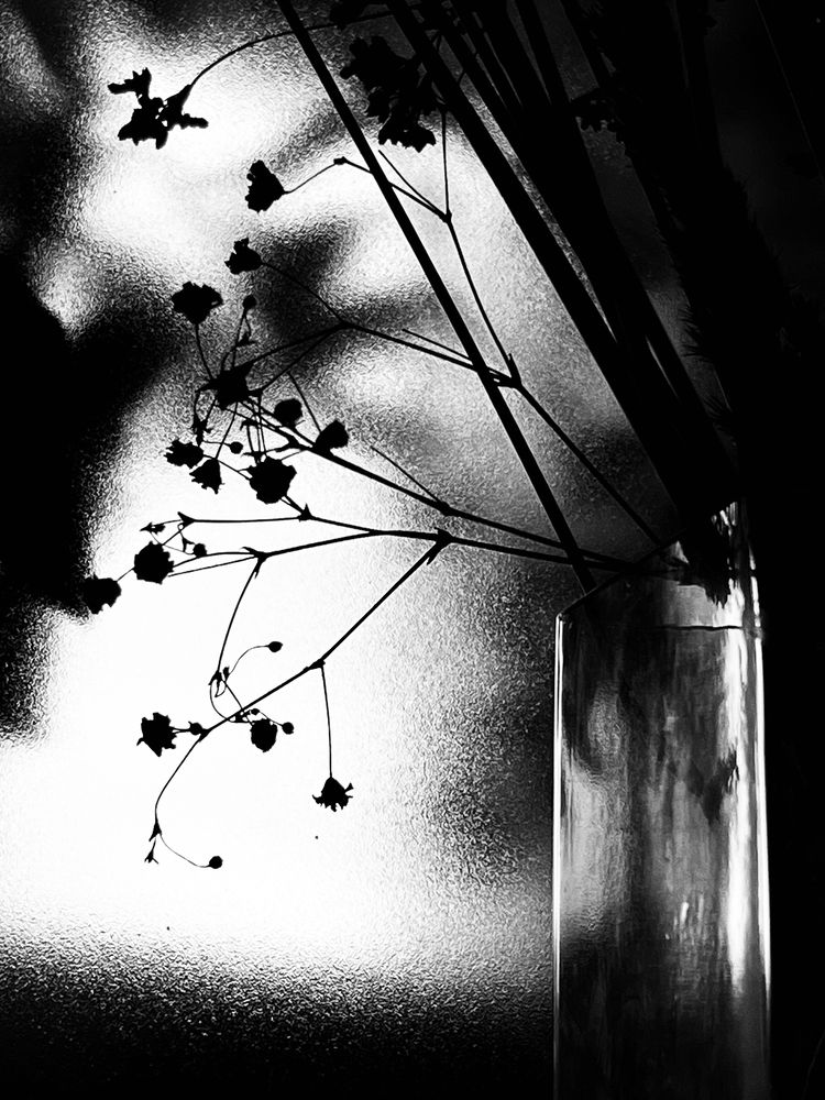 Photograph by Elmar Mamedov