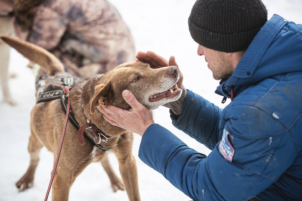 Photograph by Ivan Osipov