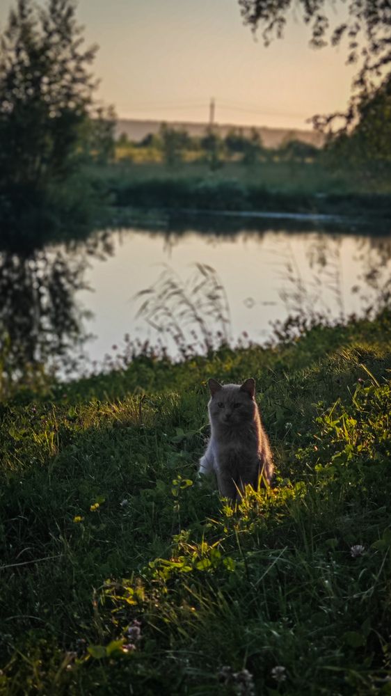 Photograph by Ирина Шестакова