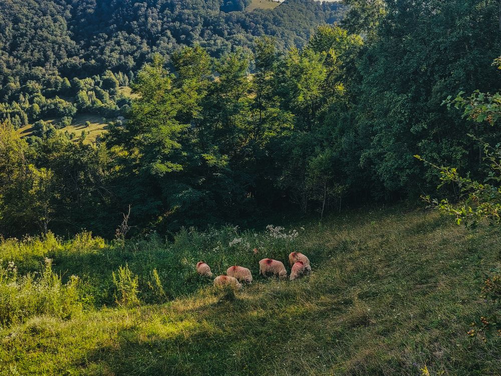 Photograph by Denisa-Mihaela Logoja
