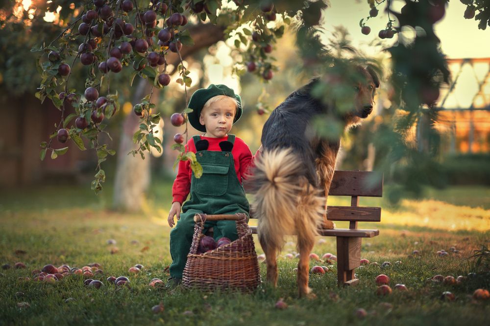 Photograph by Наталья Шкроб