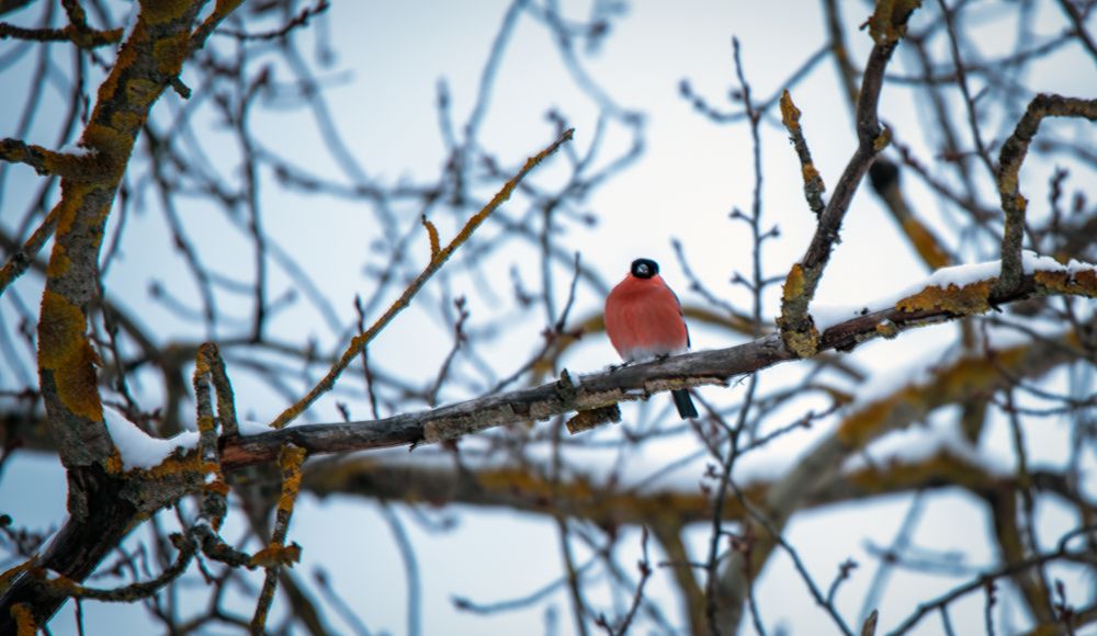 Photograph by Мария