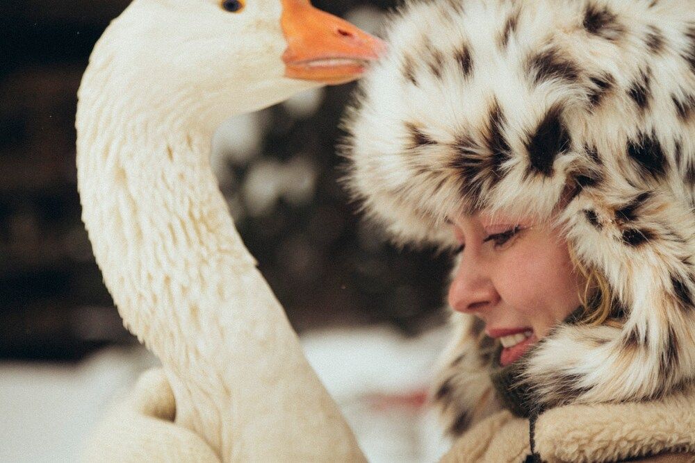 Photograph by Ольга Дорогина