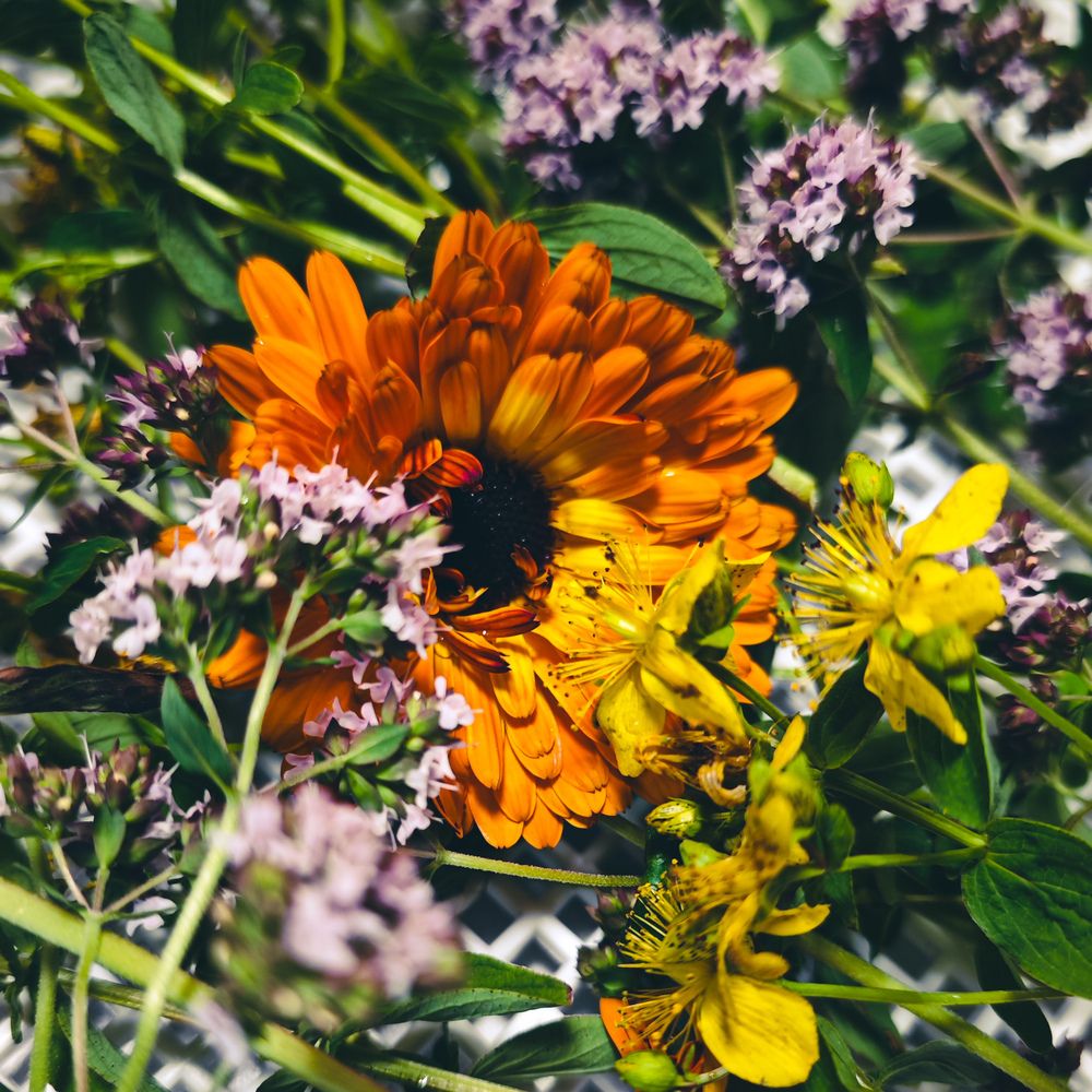 Photograph by Ирина Шестакова