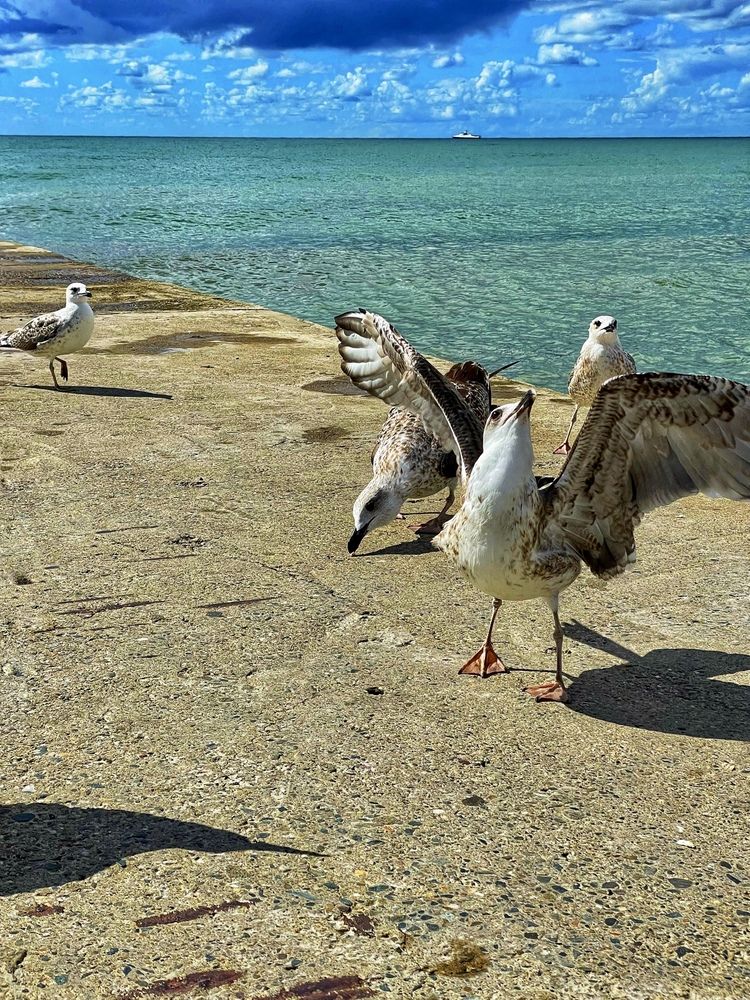 Photograph by Nadezhda