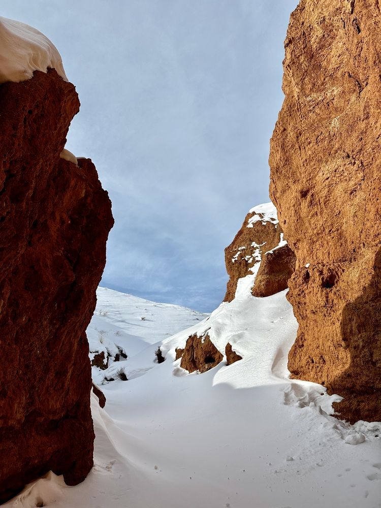 Фотография автора Svetlana Rashidova