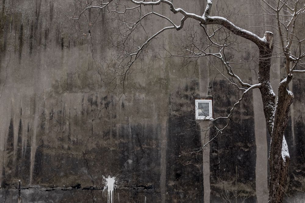Photograph by Анна Шевардина