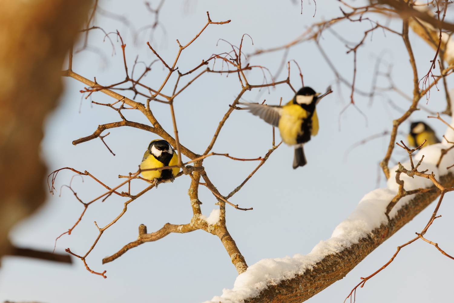 Фотография #13155551