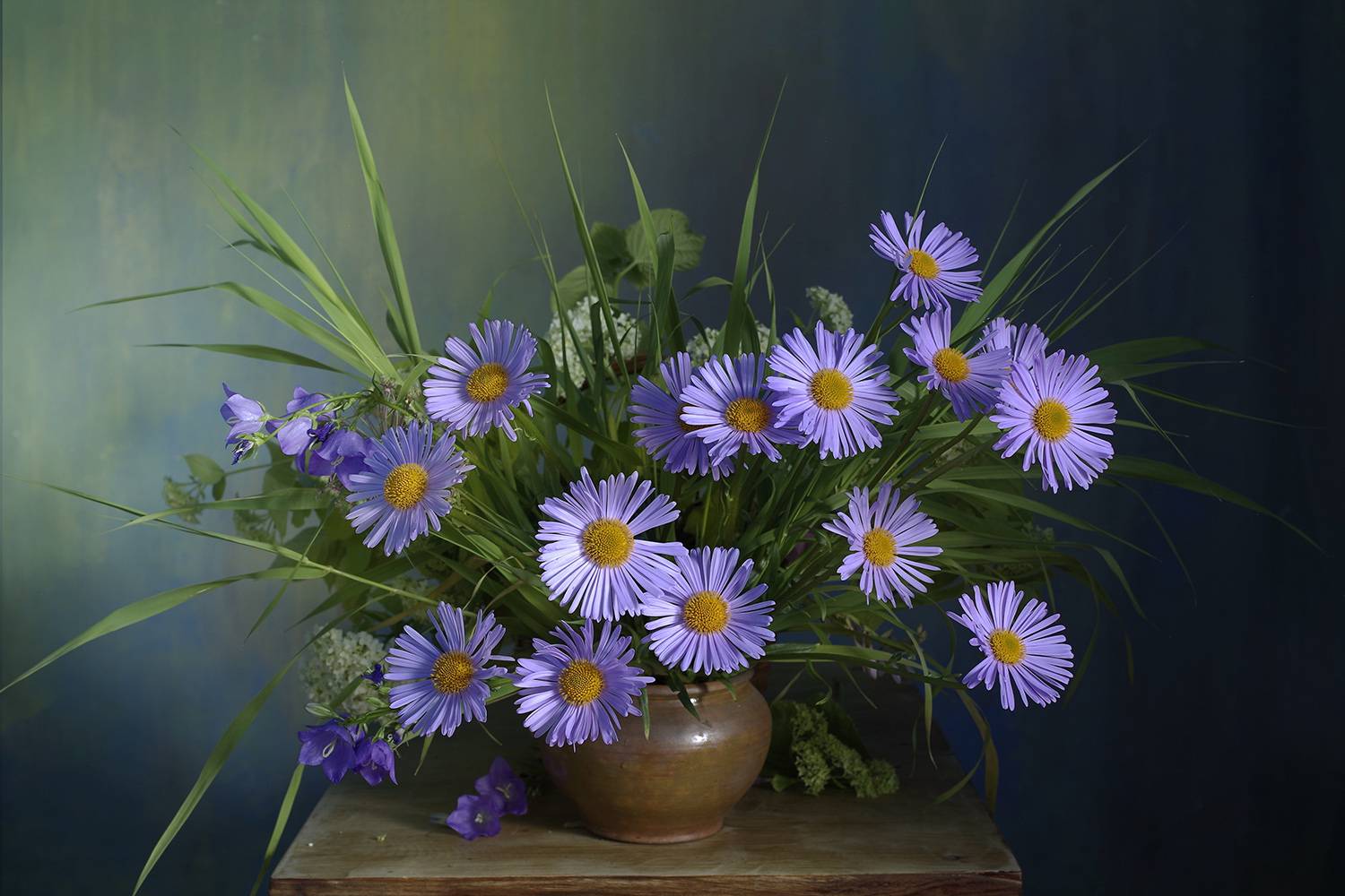 Фотография #13155554