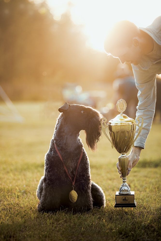 Photograph by Комплиментова