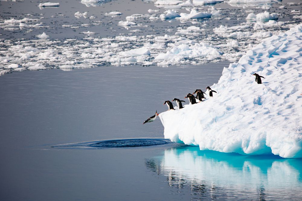 Photograph by Pavel Smekalov