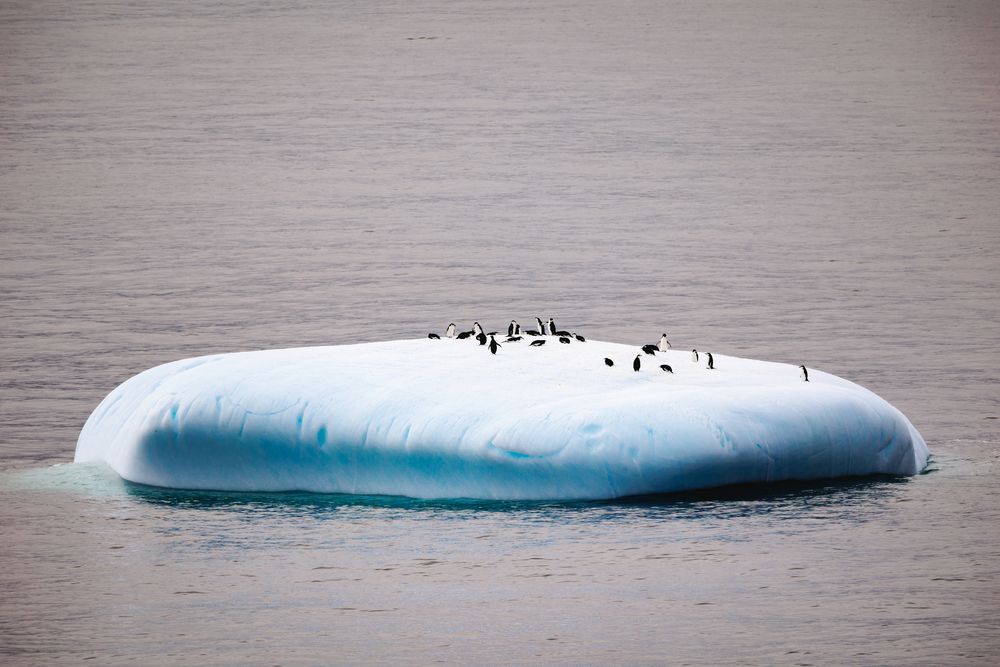 Photograph by Pavel Smekalov