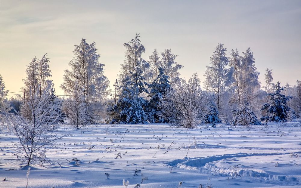 Фотография автора Андрей Хитров