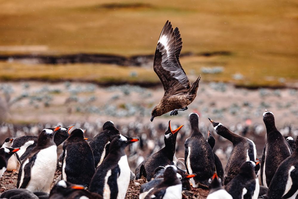 Photograph by Pavel Smekalov