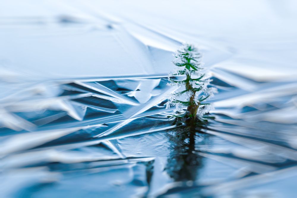 Фотография автора Olga Mamadzanova