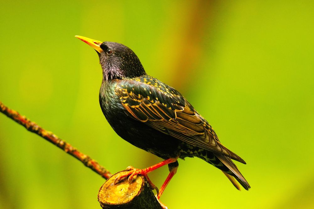 Photograph by Елена Викторовна