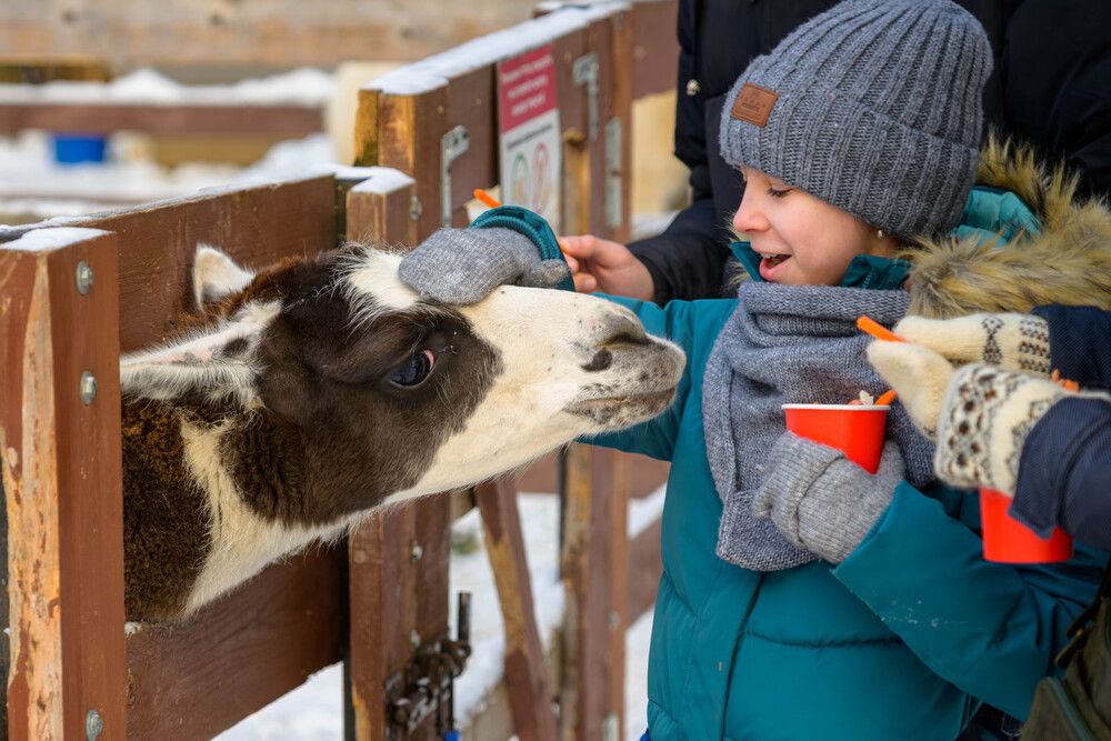 Photograph by Демьян Лопатов