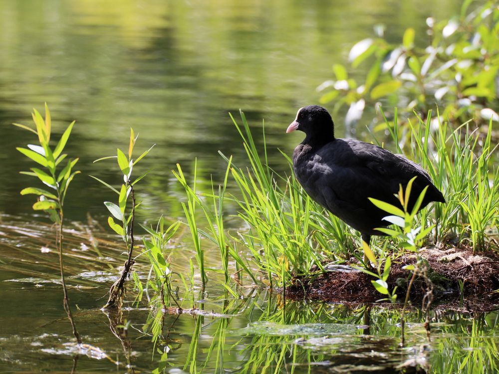 Photograph by Марианна Браун