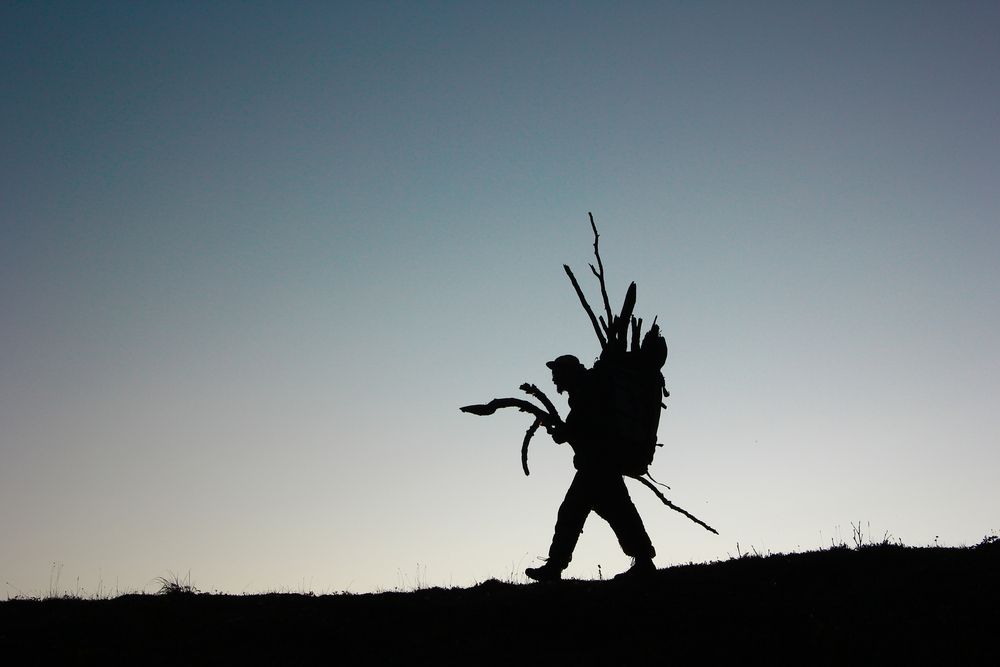 Фотография автора Olga Mamadzanova