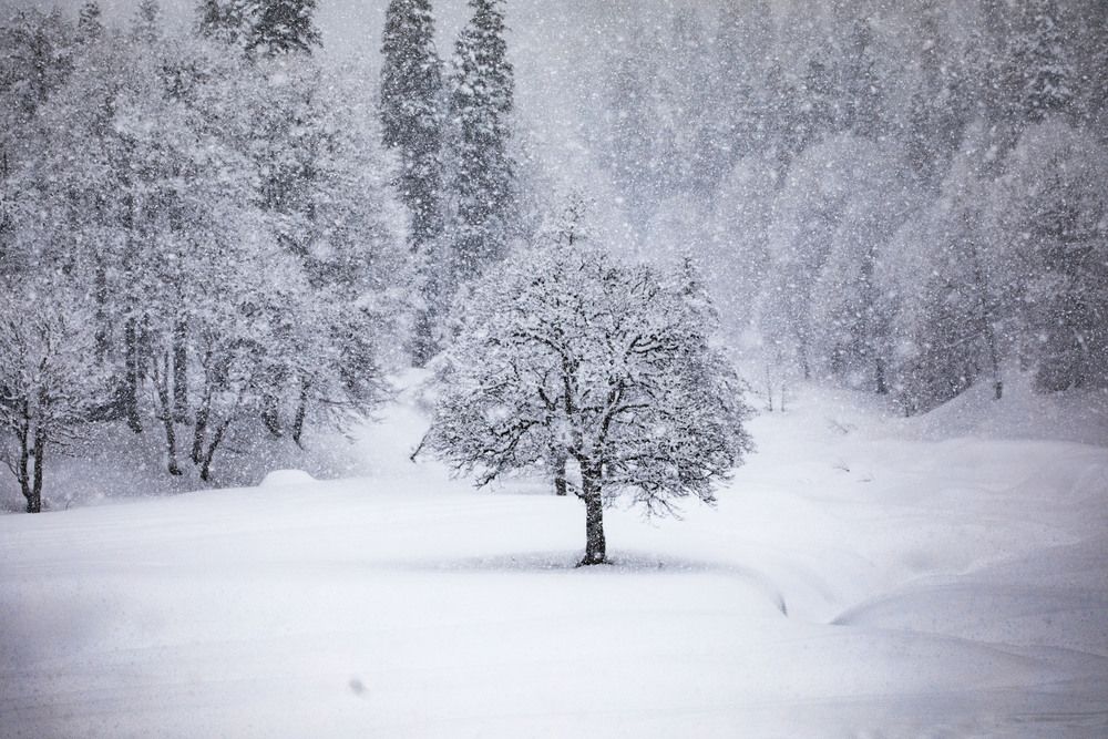 Photograph by Tengiz Tarba