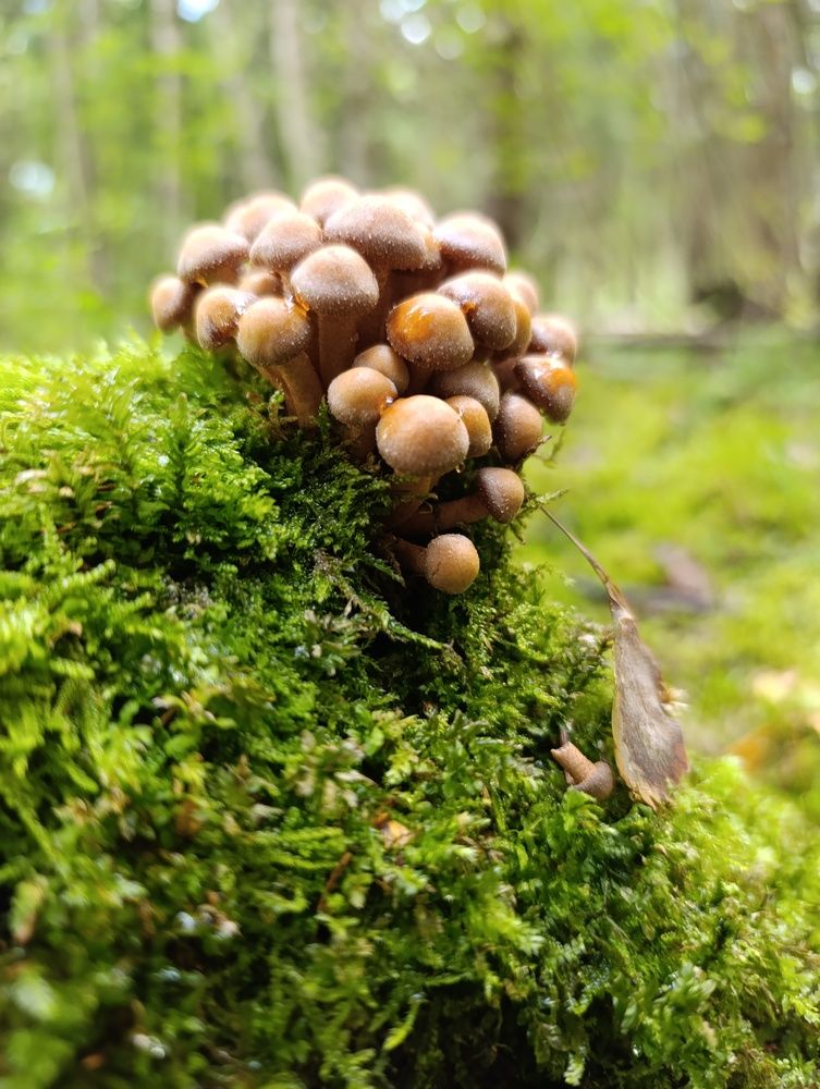 Photograph by Zanna Stalidzāne