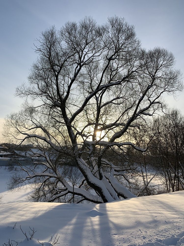 Photograph by Игорь Ребров