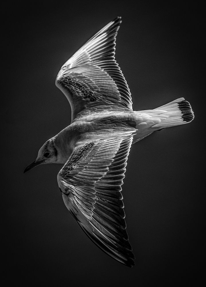 Photograph by Замятин Александр