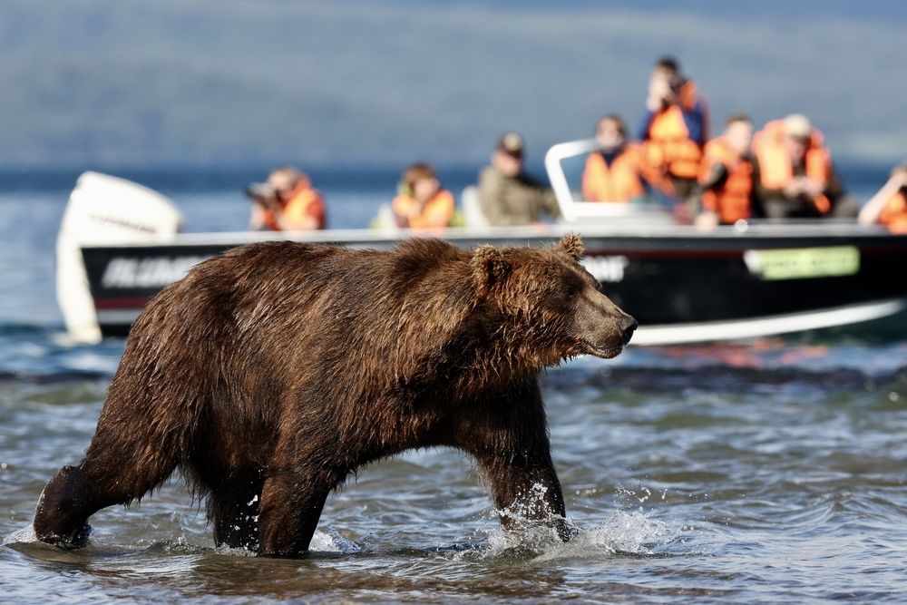 Фотография автора Леонид Голубков