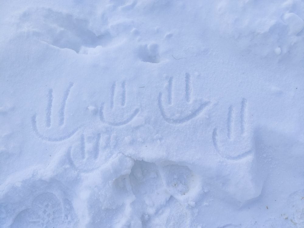 Фотография автора Татьяна Мишкина