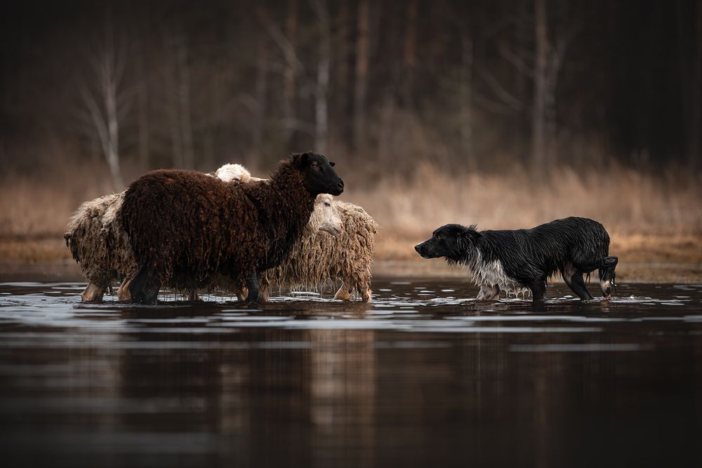 Photograph by Ольга Легенькая