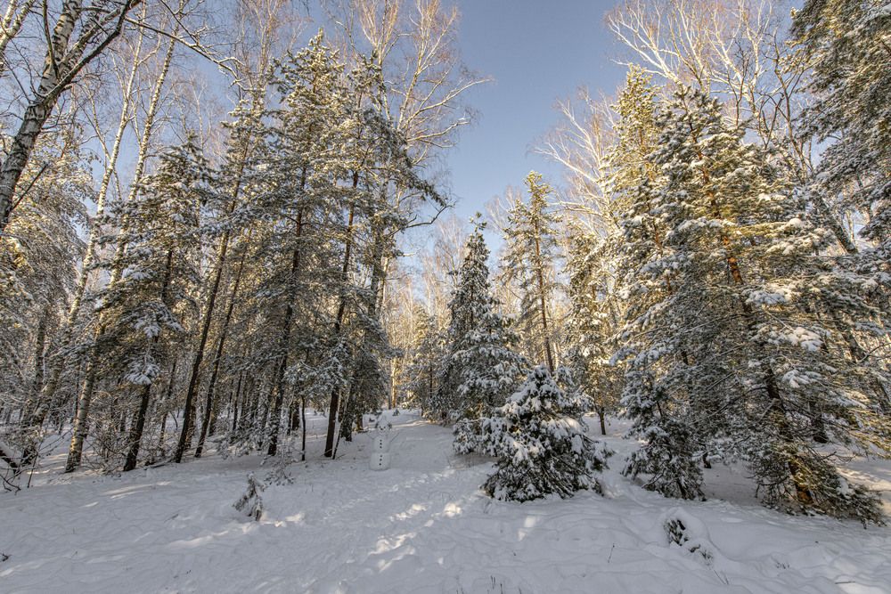 Photograph by Алексей Сиваков