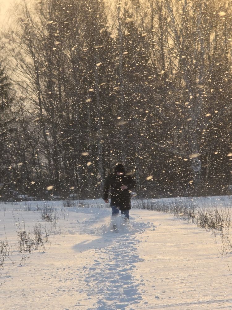 Photograph by Alexandr Vasilev