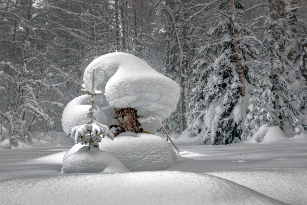 Фотография автора Юдинских Марина