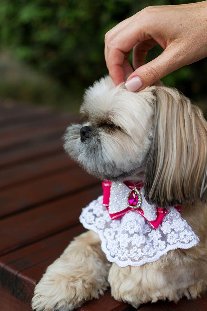 Фотография автора Екатерина Кузнецова