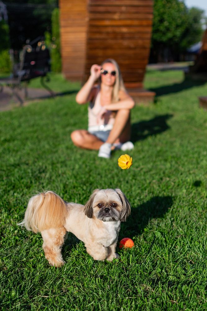 Фотография автора Екатерина Кузнецова